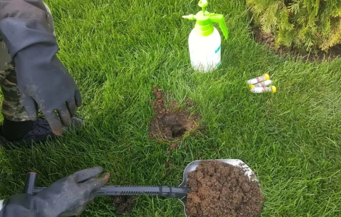 service